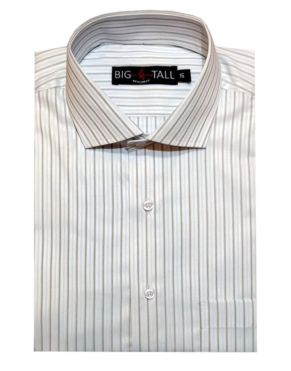 Formal Shirt - Blue Brown Liner